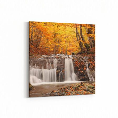 Olla 14316K Doğa / Manzara Görseli Kare Kanvas Tablo (Ölçü: 25X25)