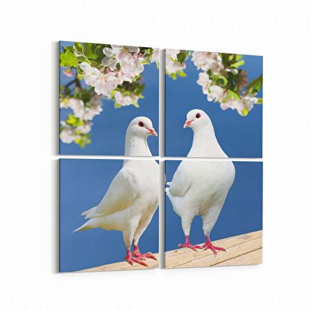 Olla 12567K4 Hayvanlar Alemi Görseli Kare 4'lü Kanvas Tablo (Ölçü: 125X125)