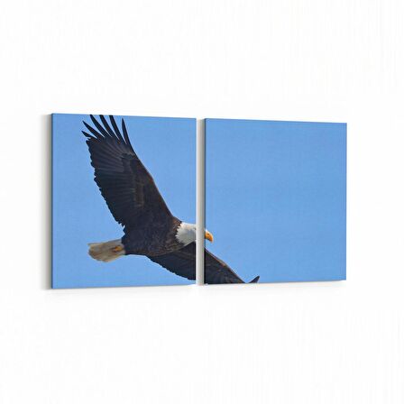 Olla 12692K2Y Hayvanlar Alemi Görseli Kare 2'li Yatay Kanvas Tablo (Ölçü: 145X70)