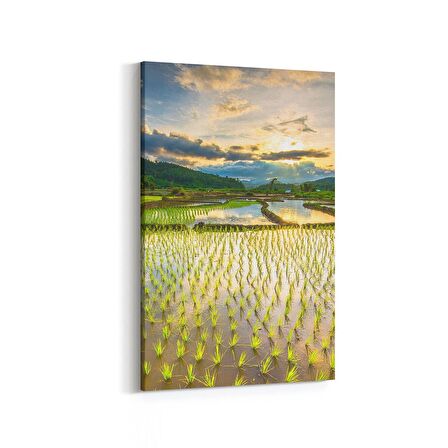 Olla 16040D Günbatımı Görseli Dikey Kanvas Tablo (Ölçü: 100X150)