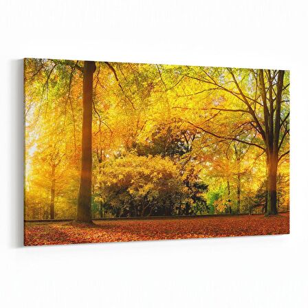 Olla 14106Y Doğa / Manzara Görseli Yatay Kanvas Tablo (Ölçü: 150X100)