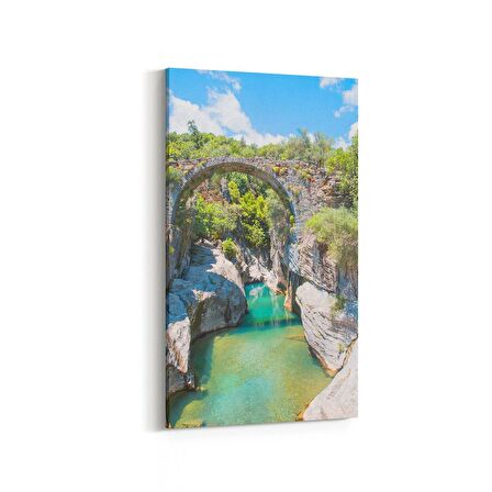 Olla 14420DD Doğa / Manzara Görseli Dikey Dar Kanvas Tablo (Ölçü: 40X80)