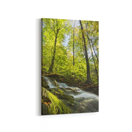 Olla 13605D Doğa / Manzara Görseli Dikey Kanvas Tablo (Ölçü: 80X120)