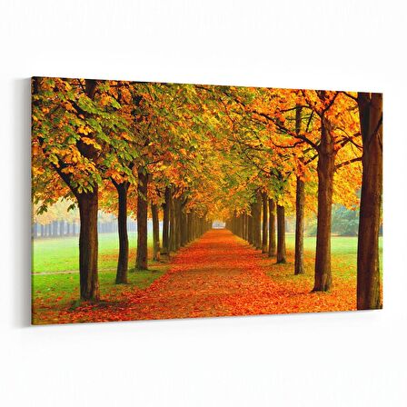 Olla 13230Y Doğa / Manzara Görseli Yatay Kanvas Tablo (Ölçü: 70X50)