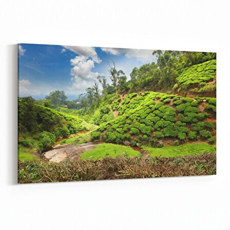 Olla 14544Y Doğa / Manzara Görseli Yatay Kanvas Tablo (Ölçü: 30X20)