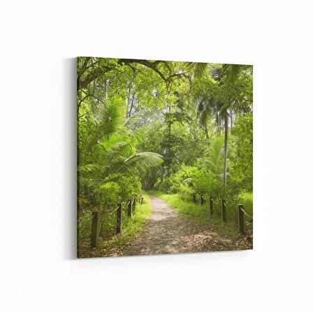 Olla 13428K Doğa / Manzara Görseli Kare Kanvas Tablo (Ölçü: 25X25)