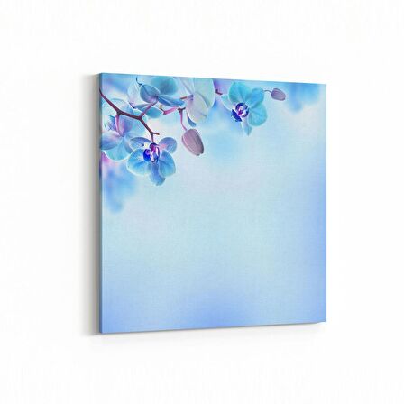 Olla 11690K Orkide Çiçek Görseli Kare Kanvas Tablo (Ölçü: 60X60)