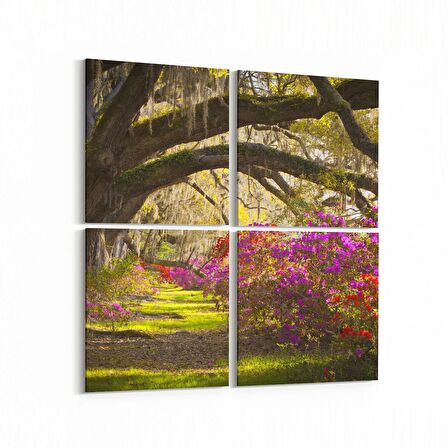 Olla 14629K4 Doğa / Manzara Görseli Kare 4'lü Kanvas Tablo (Ölçü: 65X65)