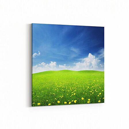 Olla 14549K Doğa / Manzara Görseli Kare Kanvas Tablo (Ölçü: 25X25)