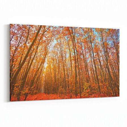 Olla 13239Y Doğa / Manzara Görseli Yatay Kanvas Tablo (Ölçü: 90X60)