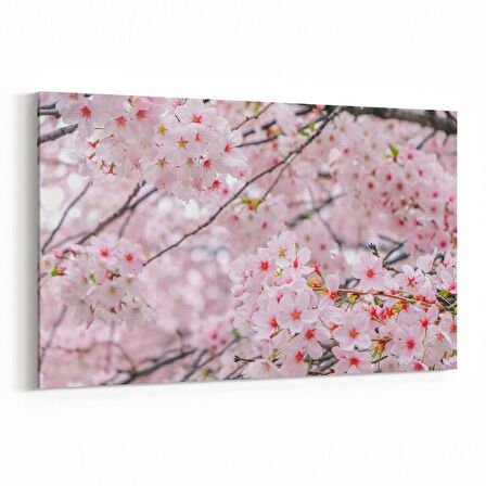 Olla 11556Y Çiçek Görseli Yatay Kanvas Tablo (Ölçü: 45X30)