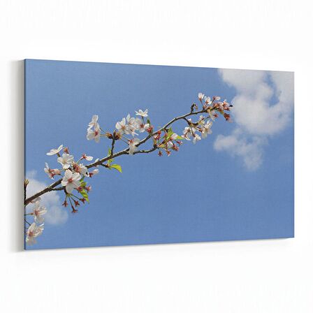 Olla 10960Y Ağaç Görseli Yatay Kanvas Tablo (Ölçü: 30X20)