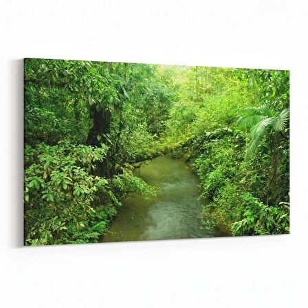 Olla 14283Y Doğa / Manzara Görseli Yatay Kanvas Tablo (Ölçü: 45X30)