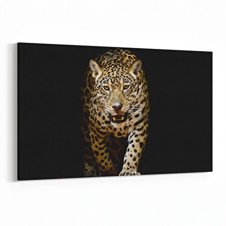 Olla 12522Y Hayvanlar Alemi Görseli Yatay Kanvas Tablo (Ölçü: 150X100)