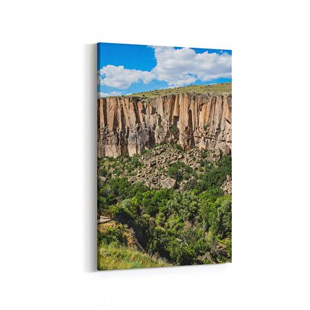 Olla 13162D Doğa / Manzara Görseli Dikey Kanvas Tablo (Ölçü: 20X30)