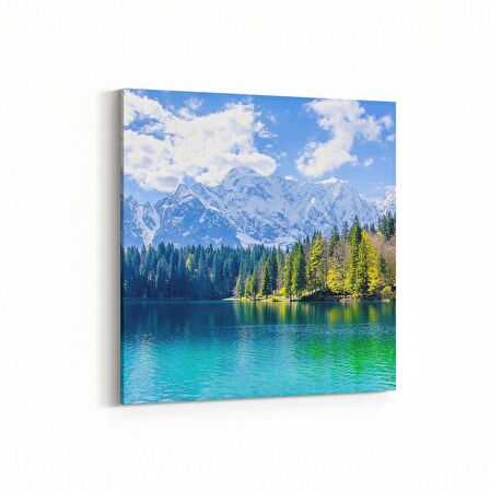 Olla 14311K Doğa / Manzara Görseli Kare Kanvas Tablo (Ölçü: 60X60)