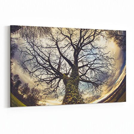 Olla 10834Y Ağaç Görseli Yatay Kanvas Tablo (Ölçü: 30X20)