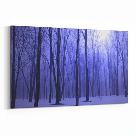 Olla 14122Y Doğa / Manzara Görseli Yatay Kanvas Tablo (Ölçü: 45X30)