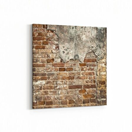 Olla 17509K Taş / Tuğla Görseli Kare Kanvas Tablo (Ölçü: 25X25)