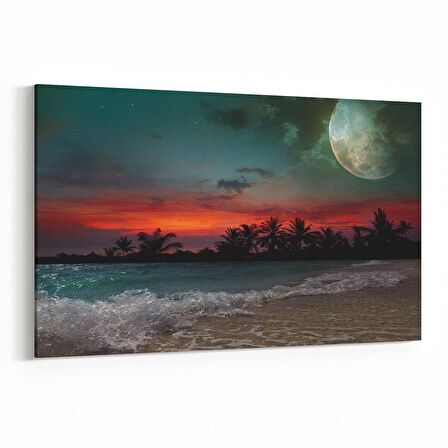 Olla 14740Y Gece Gökyüzü Görseli Yatay Kanvas Tablo (Ölçü: 90X60)