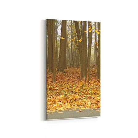 Olla 14449DD Doğa / Manzara Görseli Dikey Dar Kanvas Tablo (Ölçü: 30X60)