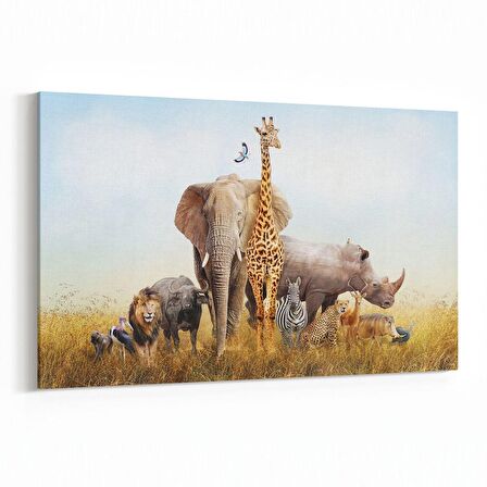 Olla 12673Y Hayvanlar Alemi Görseli Yatay Kanvas Tablo (Ölçü: 150X100)