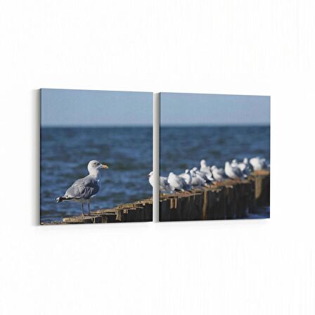 Olla 12596K2Y Hayvanlar Alemi Görseli Kare 2'li Yatay Kanvas Tablo (Ölçü: 145X70)