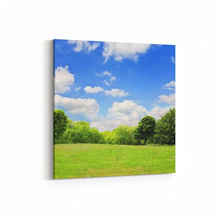 Olla 14590K Doğa / Manzara Görseli Kare Kanvas Tablo (Ölçü: 25X25)