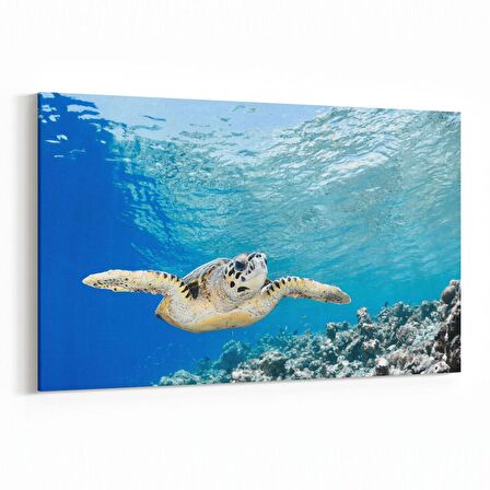 Olla 12905Y Deniz / Okyanus Görseli Yatay Kanvas Tablo (Ölçü: 90X60)