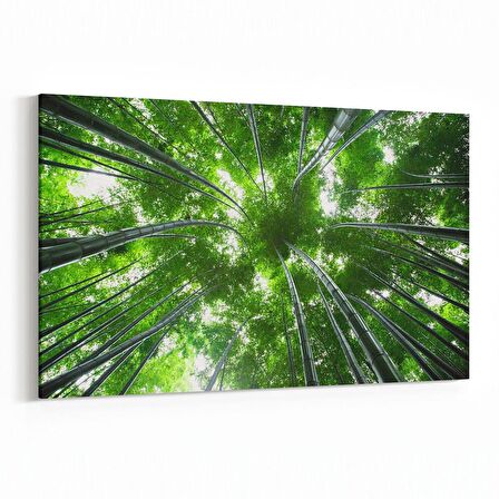 Olla 10985Y Ağaç Görseli Yatay Kanvas Tablo (Ölçü: 90X60)