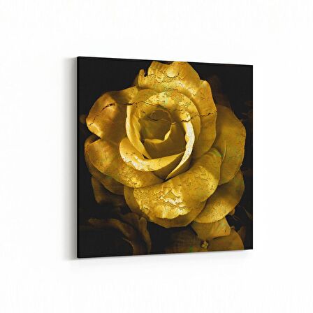 Olla 11593K Çiçek Görseli Kare Kanvas Tablo (Ölçü: 30X30)