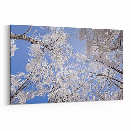 Olla 10567Y Ağaç Görseli Yatay Kanvas Tablo (Ölçü: 150X100)