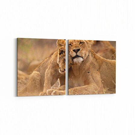 Olla 12468K2Y Hayvanlar Alemi Görseli Kare 2'li Yatay Kanvas Tablo (Ölçü: 85X40)