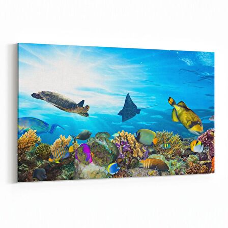 Olla 12132Y Akvaryum / Balık Görseli Yatay Kanvas Tablo (Ölçü: 120X80)