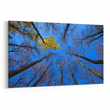 Olla 10861Y Ağaç Görseli Yatay Kanvas Tablo (Ölçü: 30X20)