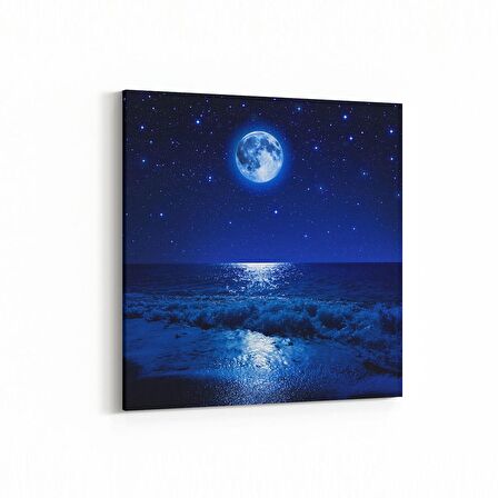 Olla 14697K Gece Gökyüzü Görseli Kare Kanvas Tablo (Ölçü: 25X25)
