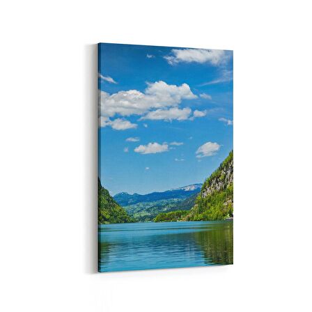 Olla 13683D Doğa / Manzara Görseli Dikey Kanvas Tablo (Ölçü: 100X150)