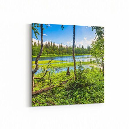 Olla 14248K Doğa / Manzara Görseli Kare Kanvas Tablo (Ölçü: 100X100)