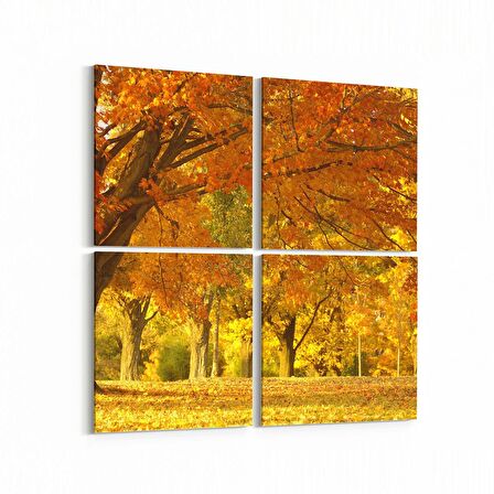 Olla 13714K4 Doğa / Manzara Görseli Kare 4'lü Kanvas Tablo (Ölçü: 65X65)