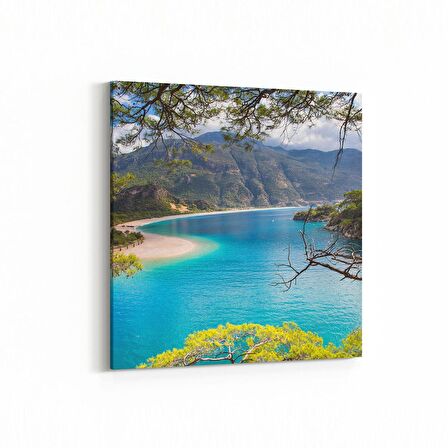 Olla 13794K Doğa / Manzara Görseli Kare Kanvas Tablo (Ölçü: 25X25)
