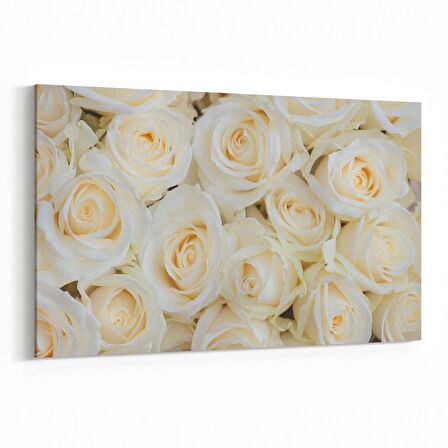 Olla 11608Y Çiçek Görseli Yatay Kanvas Tablo (Ölçü: 45X30)