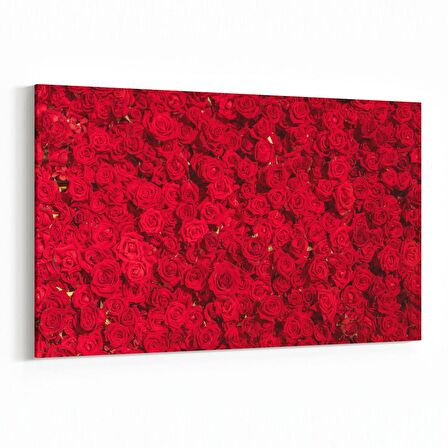 Olla 11639Y Çiçek Görseli Yatay Kanvas Tablo (Ölçü: 150X100)