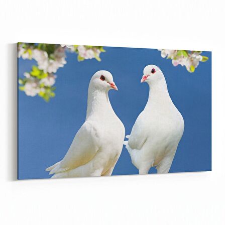 Olla 12567Y Hayvanlar Alemi Görseli Yatay Kanvas Tablo (Ölçü: 120X80)