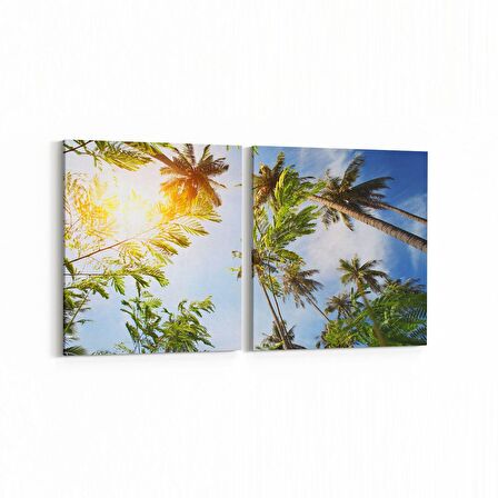 Olla 11497K2Y Palmiye Ağacı Görseli Kare 2'li Yatay Kanvas Tablo (Ölçü: 105X50)