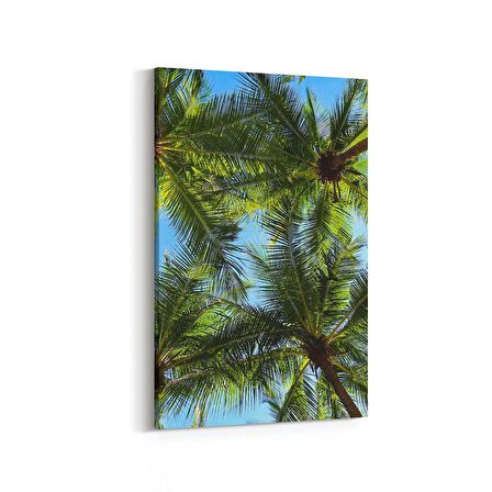 Olla 11489D Palmiye Ağacı Görseli Dikey Kanvas Tablo (Ölçü: 60X90)