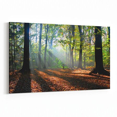 Olla 14606Y Doğa / Manzara Görseli Yatay Kanvas Tablo (Ölçü: 150X100)