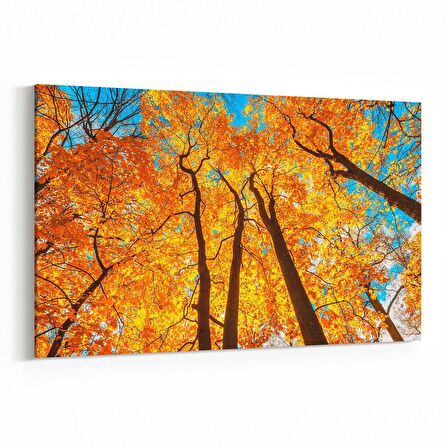 Olla 10628Y Ağaç Görseli Yatay Kanvas Tablo (Ölçü: 45X30)