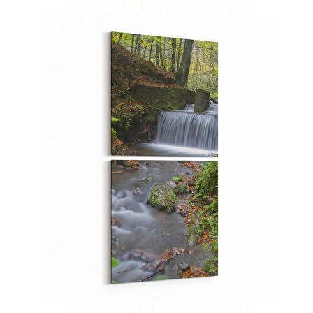 Olla 13919K2D Doğa / Manzara Görseli Kare 2'li Dikey Kanvas Tablo (Ölçü: 30X65)