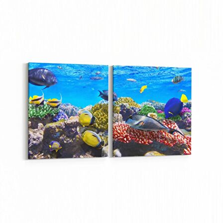 Olla 12067K2Y Akvaryum / Balık Görseli Kare 2'li Yatay Kanvas Tablo (Ölçü: 145X70)
