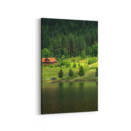 Olla 14099D Doğa / Manzara Görseli Dikey Kanvas Tablo (Ölçü: 40X60)